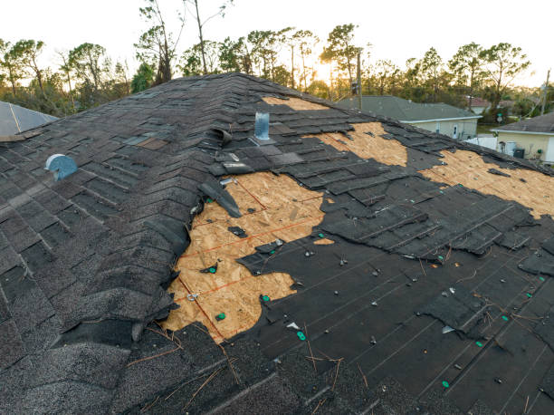 Best Slate Roofing  in Kensington, CA